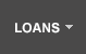 Loans/MasterCard